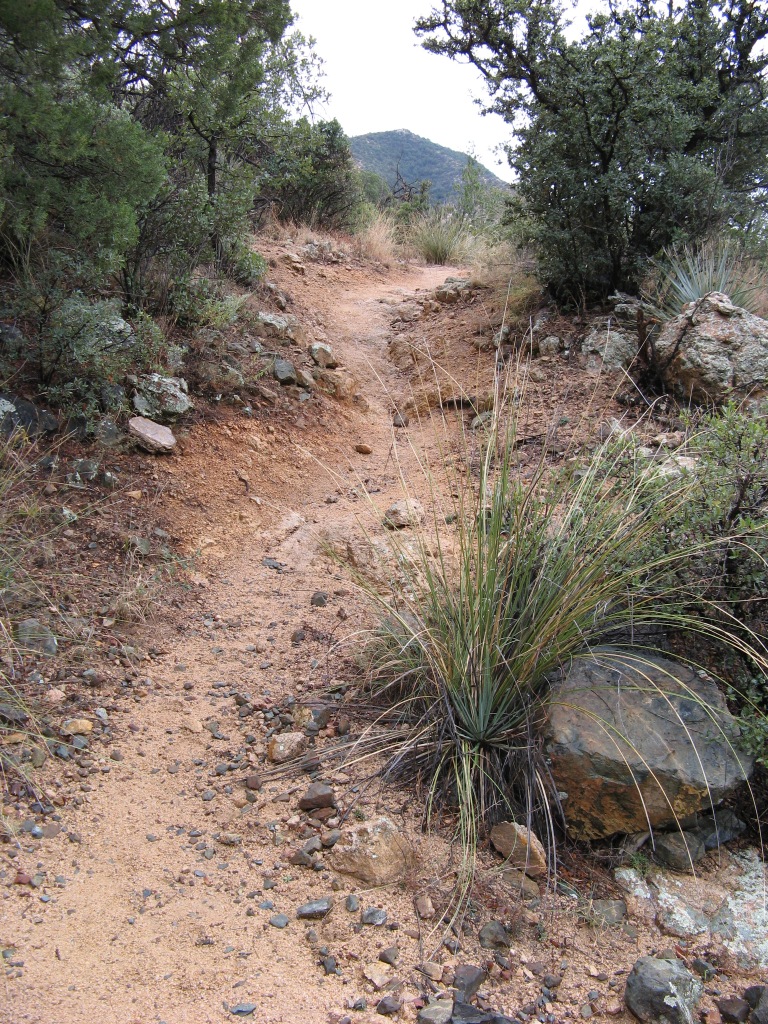 Cochise Stronghold Trail